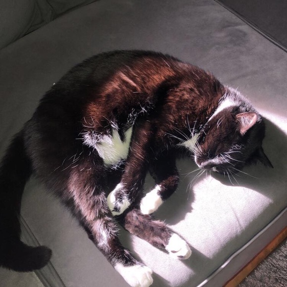 ASK ANY QUESTIONS ABOUT OFFERS AND DEALS! - Picture 1 of 1